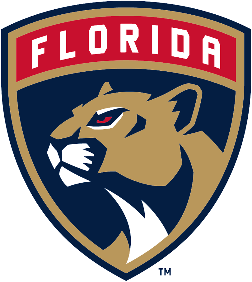 Florida Panthers 2017-Pres Primary Logo iron on heat transfer...